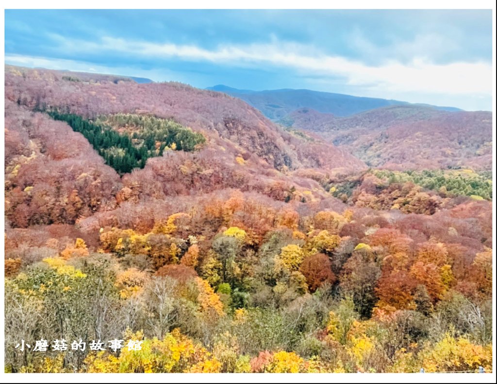 113.10.28.(57)城倉大橋.JPG
