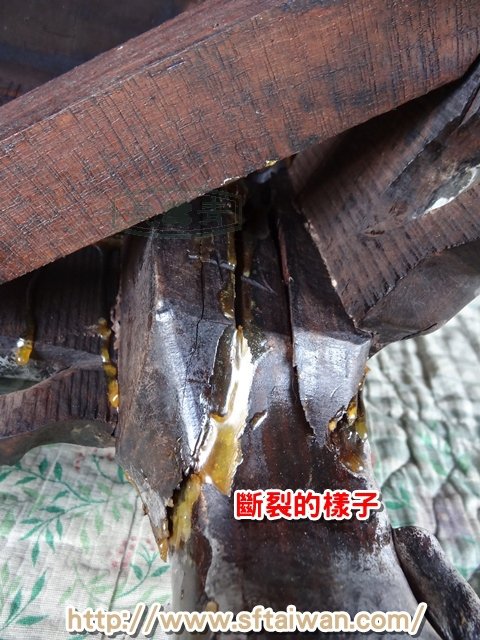 DSC04633.JPG