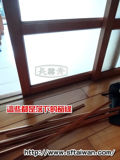 DSC06970.JPG