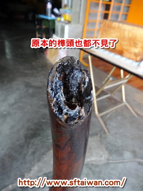 DSC07847.JPG