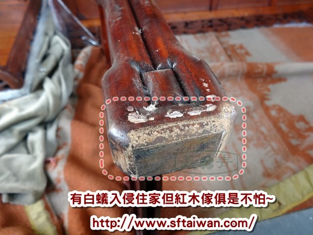 DSC05710.JPG