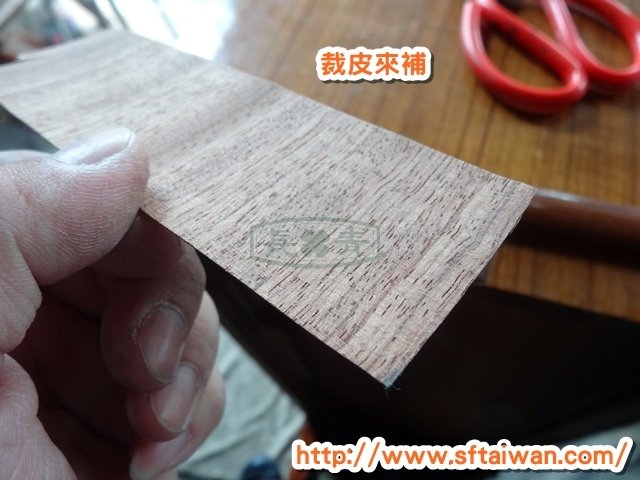 DSC07340.JPG
