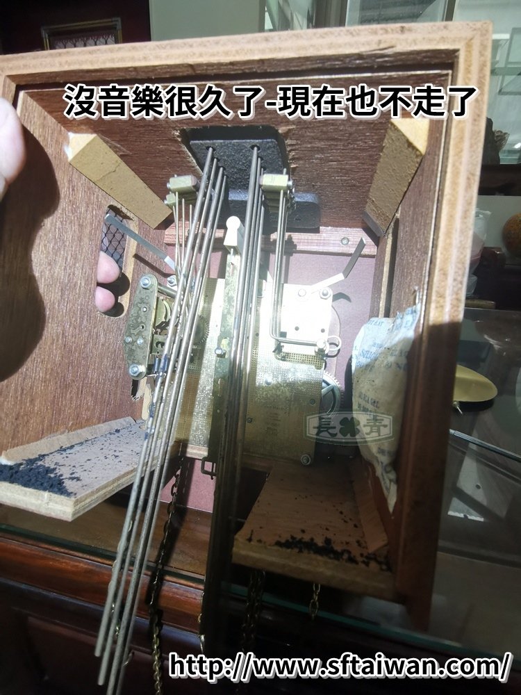 IMG_20190819_100024.jpg