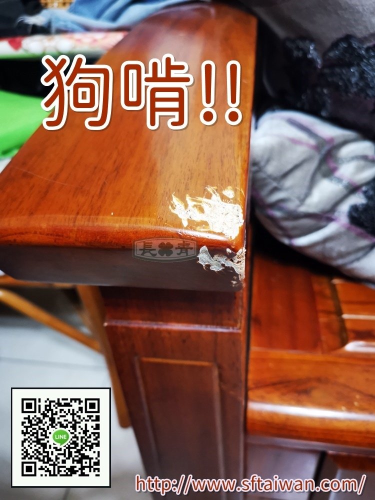 IMG_20191106_143554.jpg