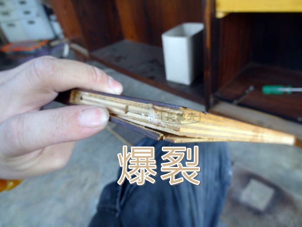 DSC06051.JPG
