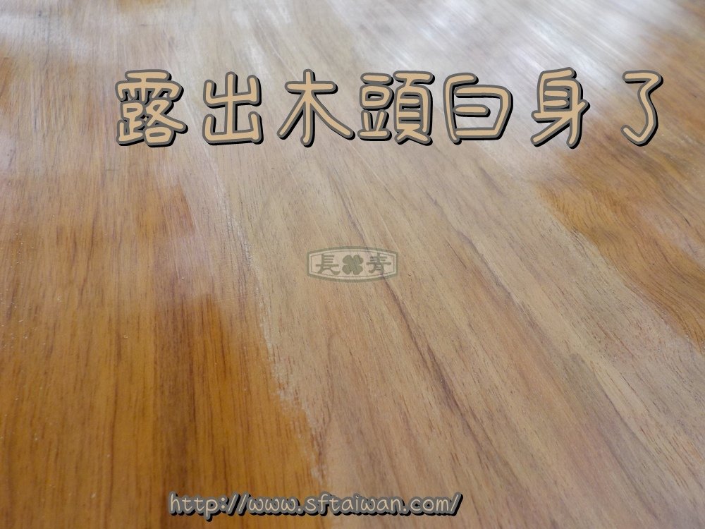 DSCN0161.JPG