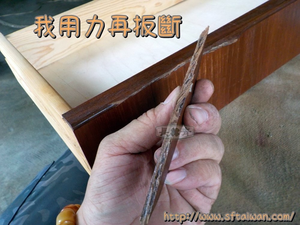 DSCN0339.JPG