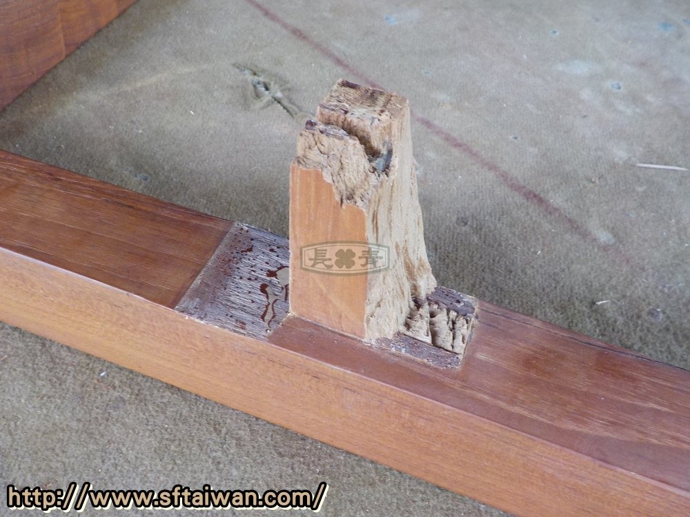 DSCN5697.JPG