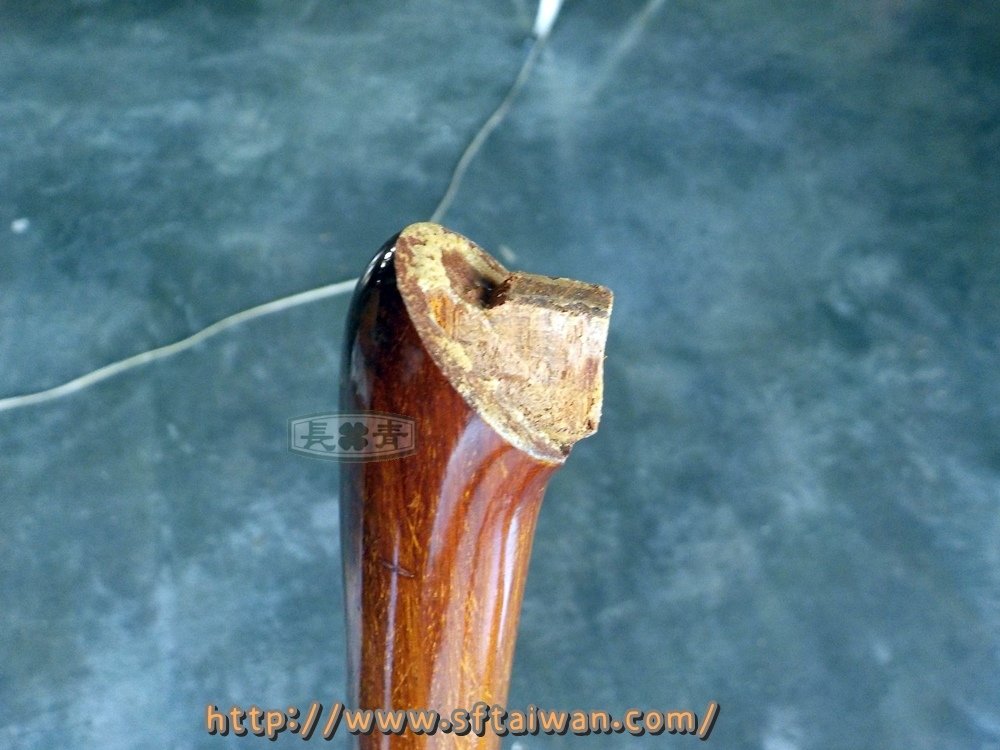 DSCN5689.JPG