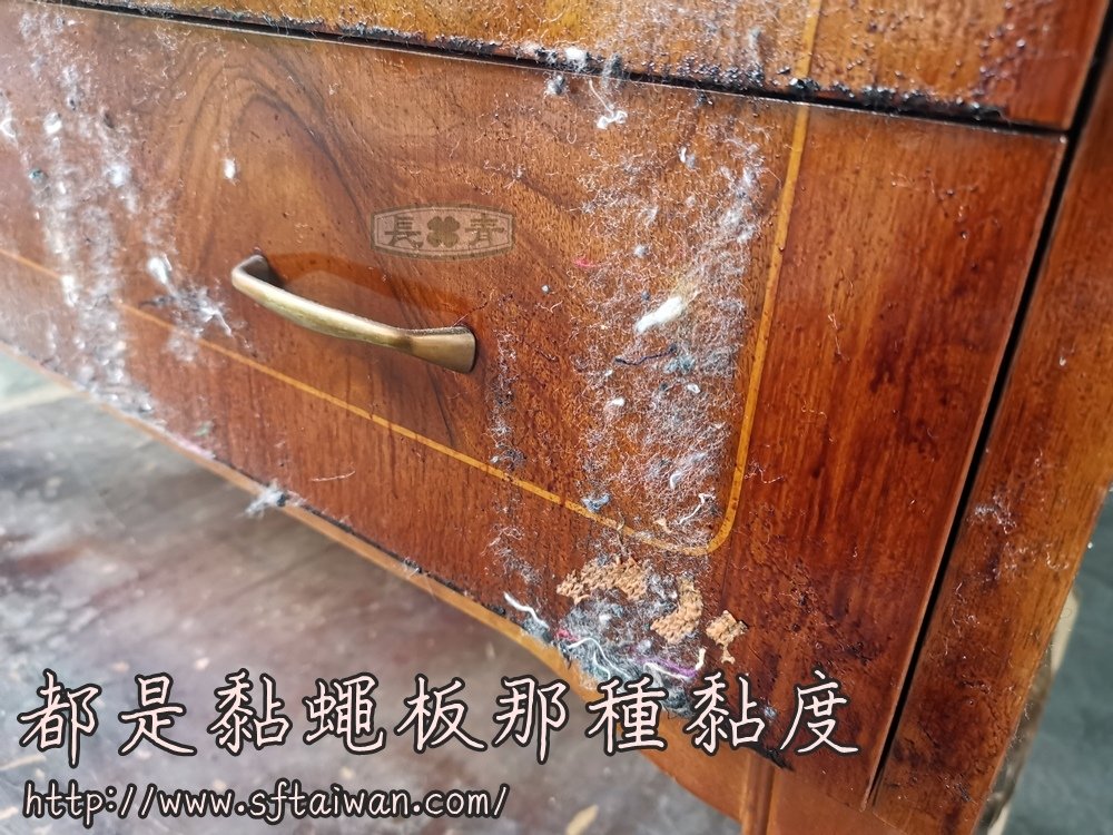 丹麥老件弧形捲蓋寫字桌漆面悽慘整修