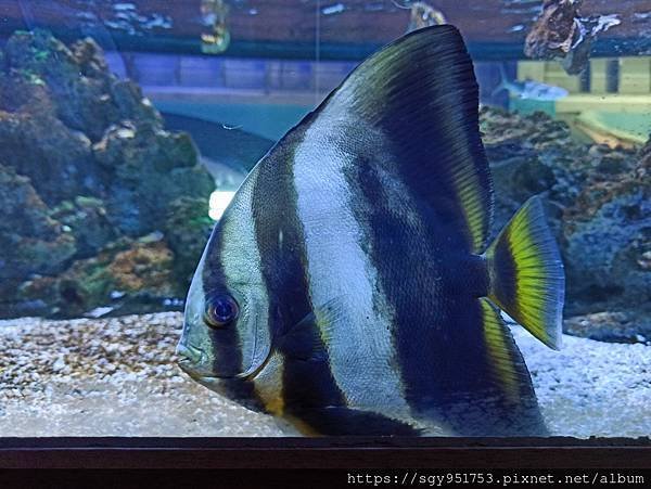 金車生技水產養殖研發中心 (4).jpg