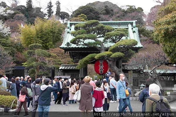 【國外遊記】 日本橫濱/箱根/鎌倉/河口湖自由行 Day6/