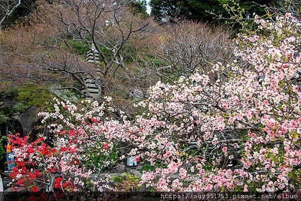 【國外遊記】 日本橫濱/箱根/鎌倉/河口湖自由行 Day6/