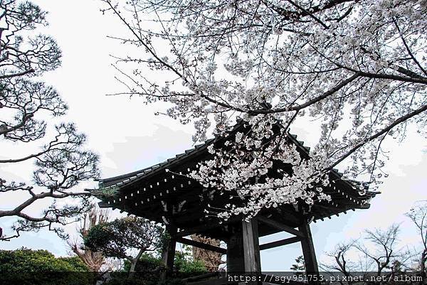 【國外遊記】 日本橫濱/箱根/鎌倉/河口湖自由行 Day6/