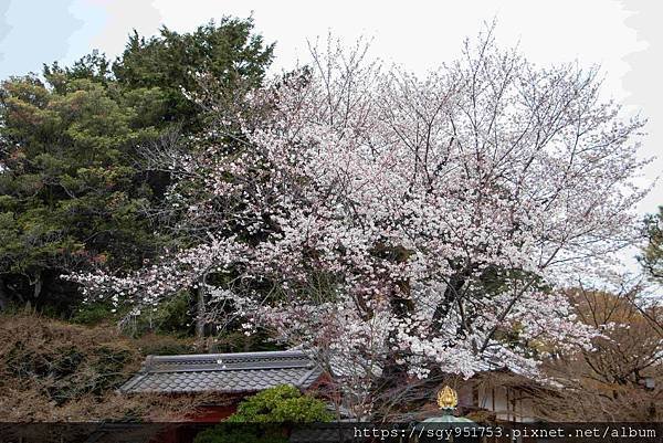 【國外遊記】 日本橫濱/箱根/鎌倉/河口湖自由行 Day6/