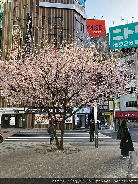 【國外遊記】 日本橫濱/箱根/鎌倉/河口湖自由行 Day4/