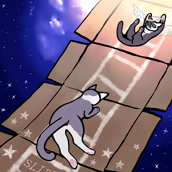 紙箱 梯 (3)