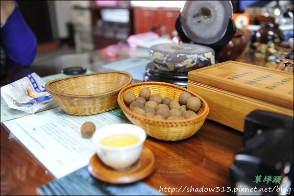 草坪頭&amp;阿里山 161.JPG
