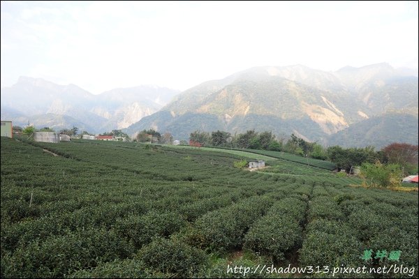 草坪頭&amp;阿里山 024.JPG