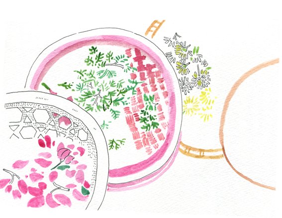 花花花.jpg