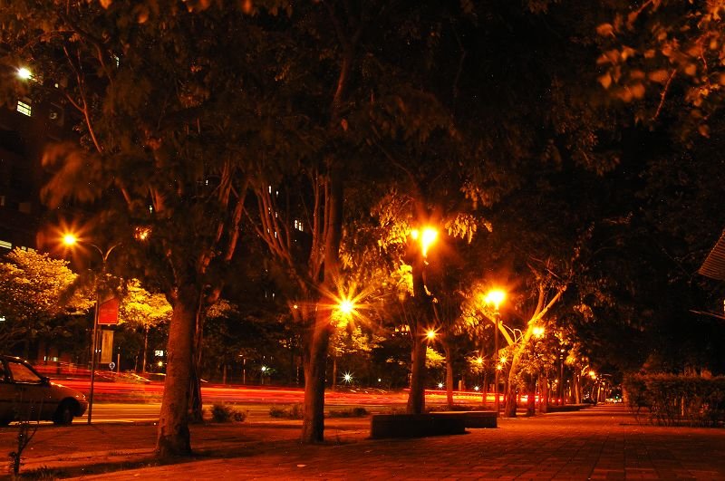 P1010007.JPG