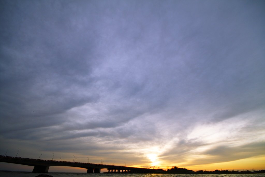 IMG_9355.JPG