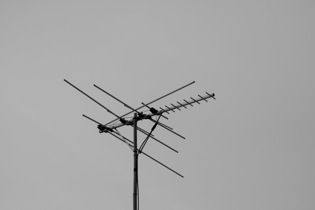 IMG_9673.JPG