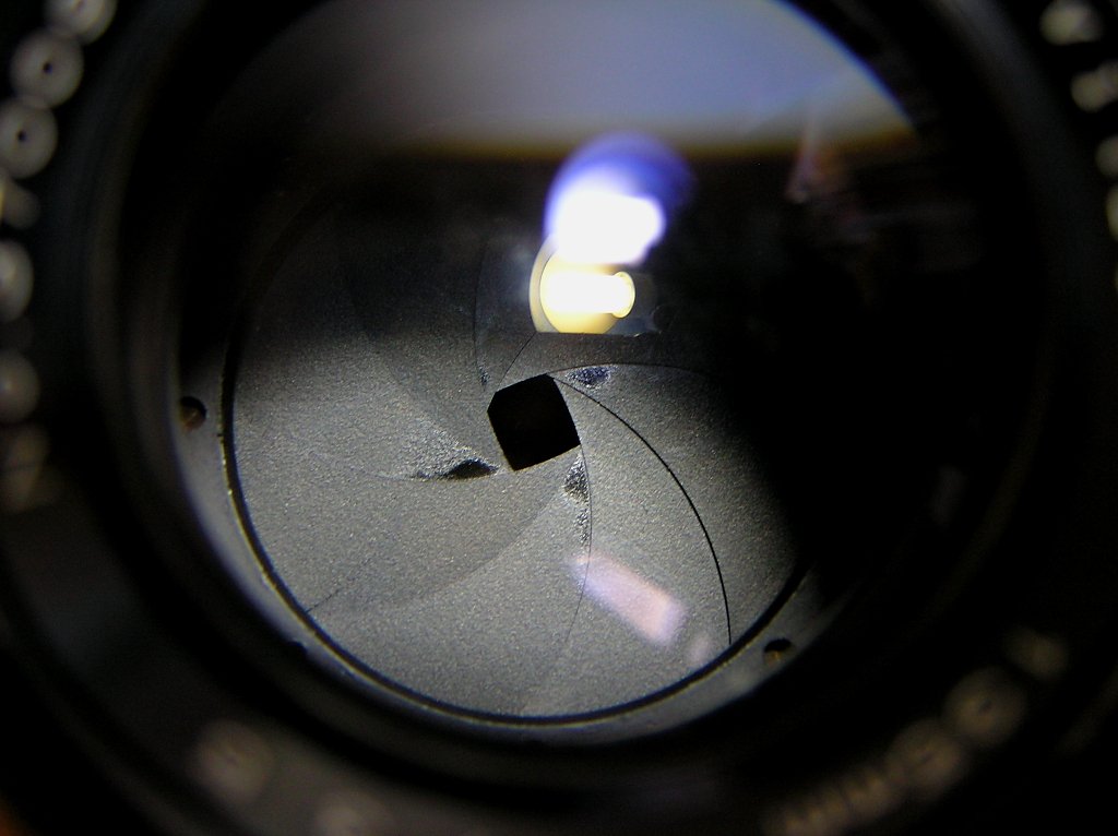 P1010008.JPG