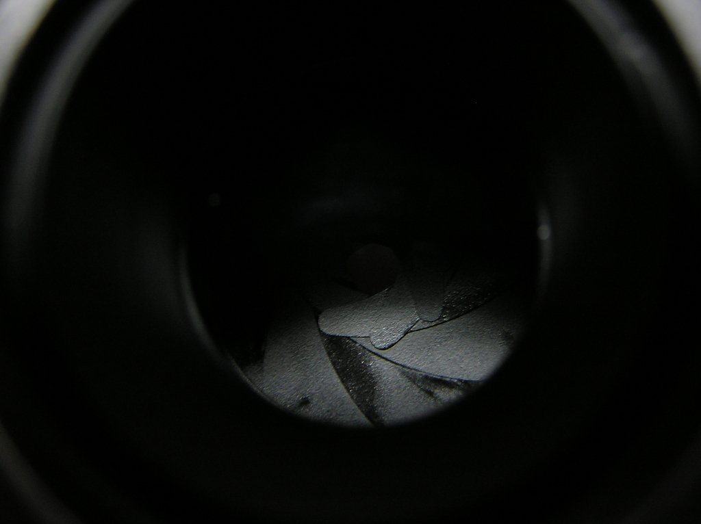 P1010009.JPG