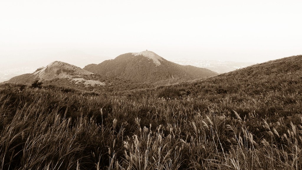P1110743.jpg