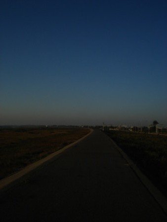 987.jpg