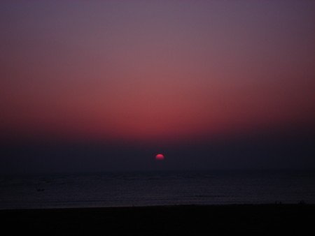 DSC00172.JPG
