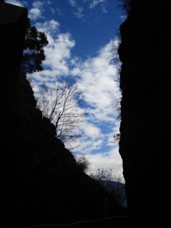 DSC00191 [].JPG