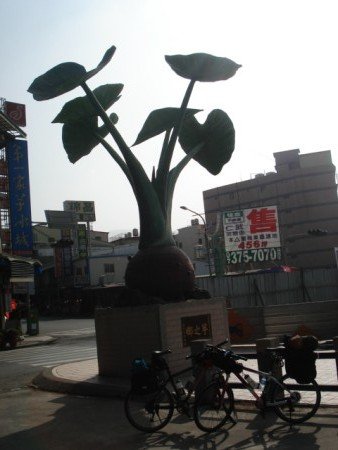 DSC09979 [].JPG