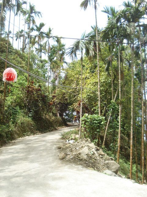 DSC00597.JPG