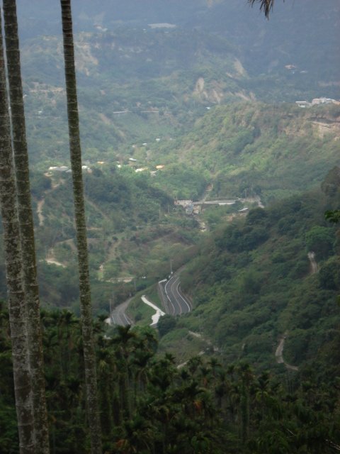 DSC00577.JPG
