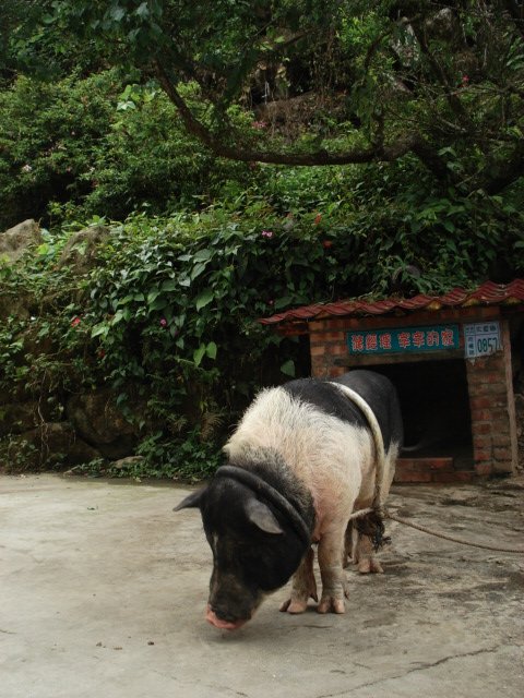 DSC00591.JPG