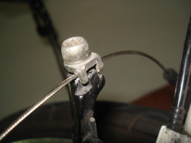 DSC09971.JPG