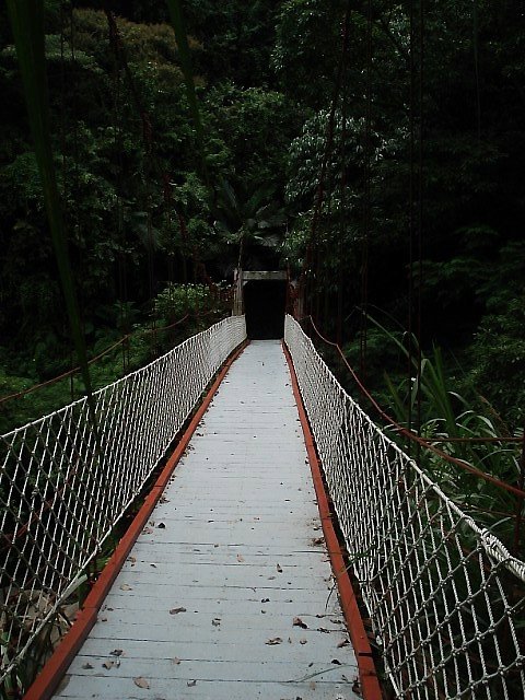 DSC00021 [].JPG