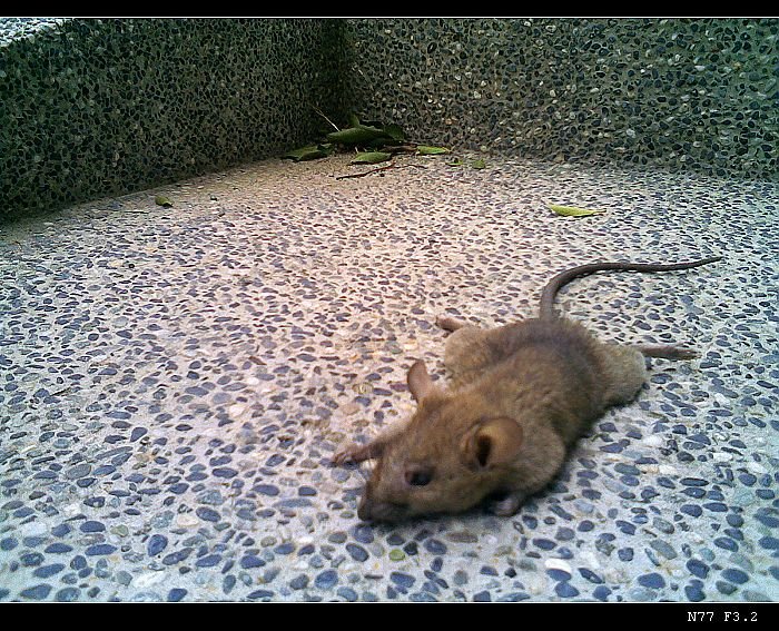 03112009015.jpg
