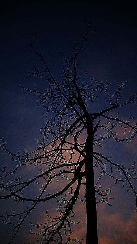 IMG_20091.jpg