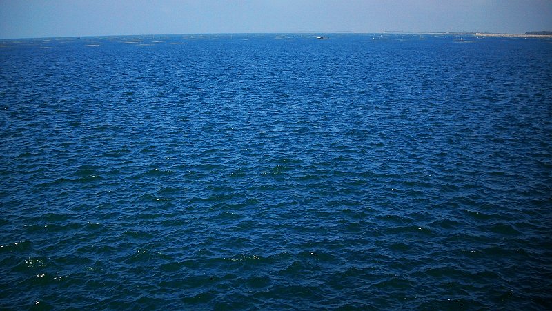IMG_2143.JPG