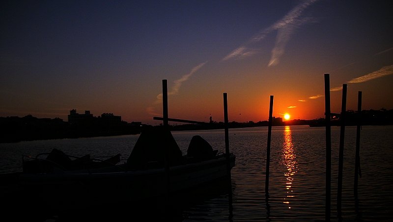 IMG_2234.JPG