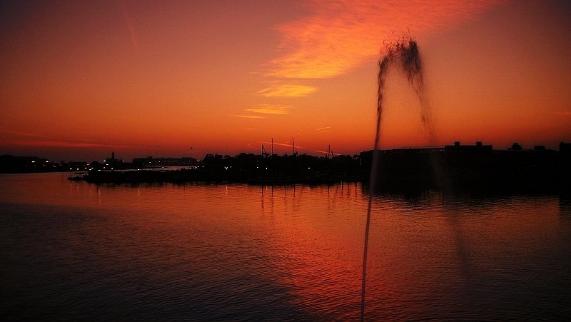 IMG_2272.JPG