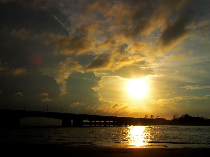 P1010031.JPG