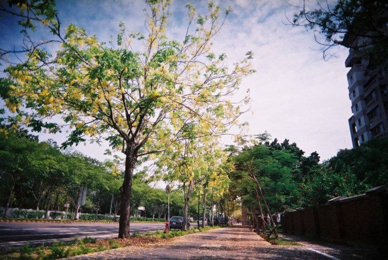 F1000021 [].JPG