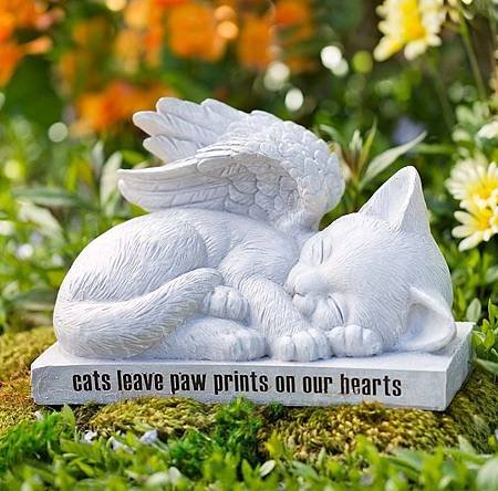 SmartSelect_20190811-195031_Pinterest.jpg