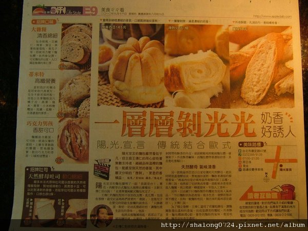 2010年蘋果日報
