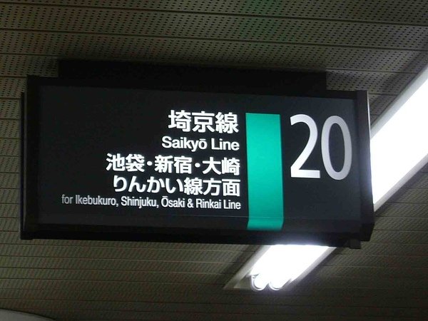 DSCF5570.JPG