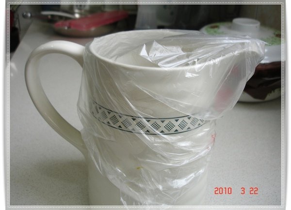 2010.03.22 撲殺果蠅 2.JPG